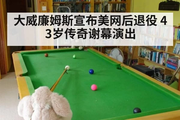 大威廉姆斯宣布美网后退役 43岁传奇谢幕演出