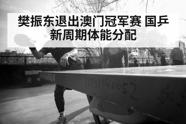 Fan Zhendong table tennis