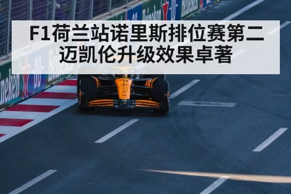 McLaren F1 car